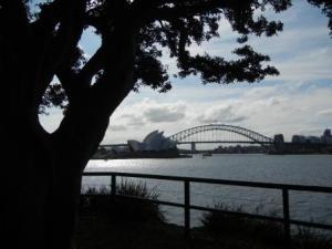 Opera House and Bridge from Botanical Gardens