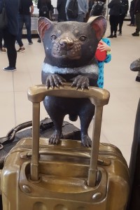 20170414_093116 (533x800)