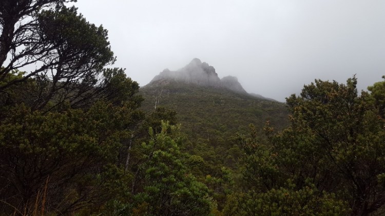 20170416_135202 (800x450)