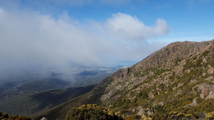 20170417_101225 (800x450)